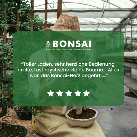Bonsai Reviews_2